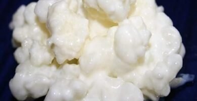 Granos de Kéfir de Leche Kéfiralia