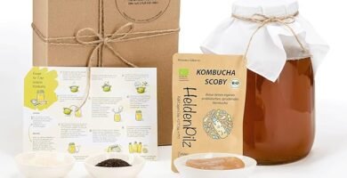 Kit de Kombucha HeldenPilz