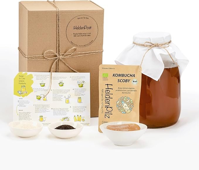 Kit de Kombucha HeldenPilz